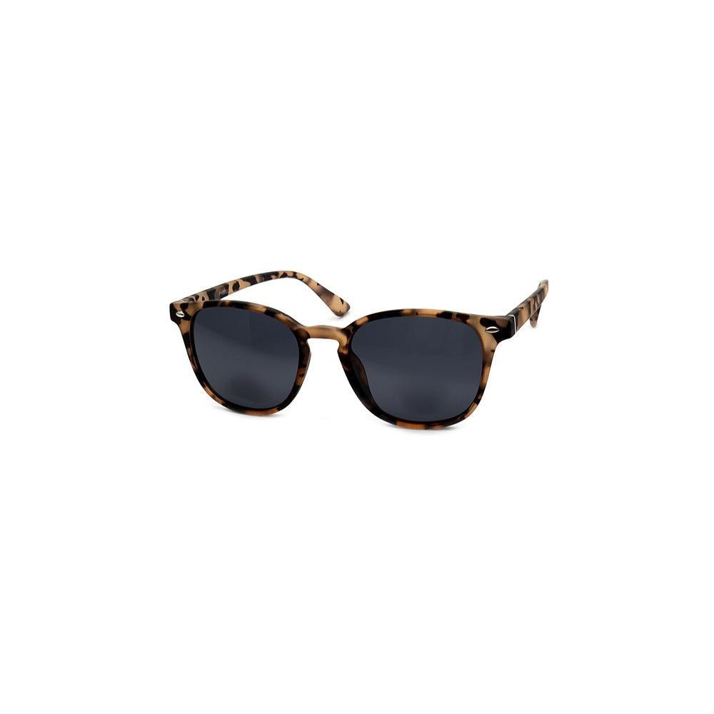 Bowie Polarised Sunglasses - Passport Eyewear