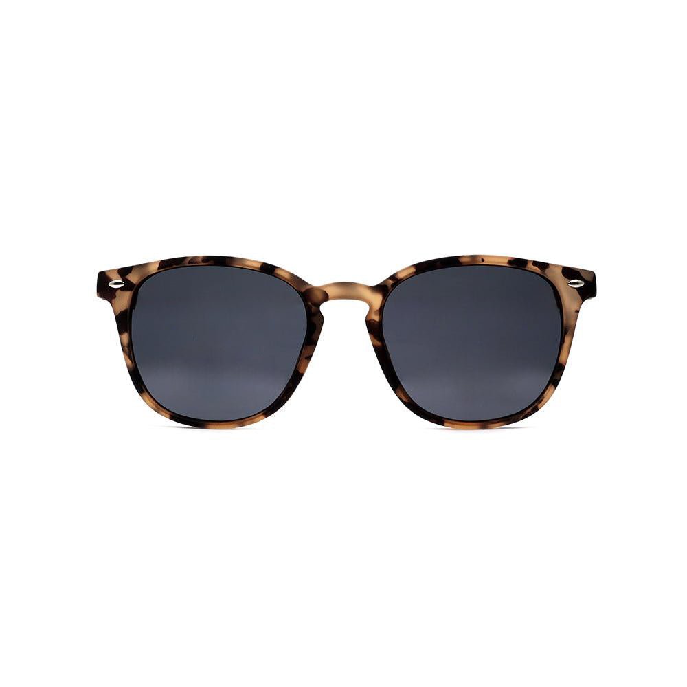 Bowie Polarised Sunglasses - Passport Eyewear