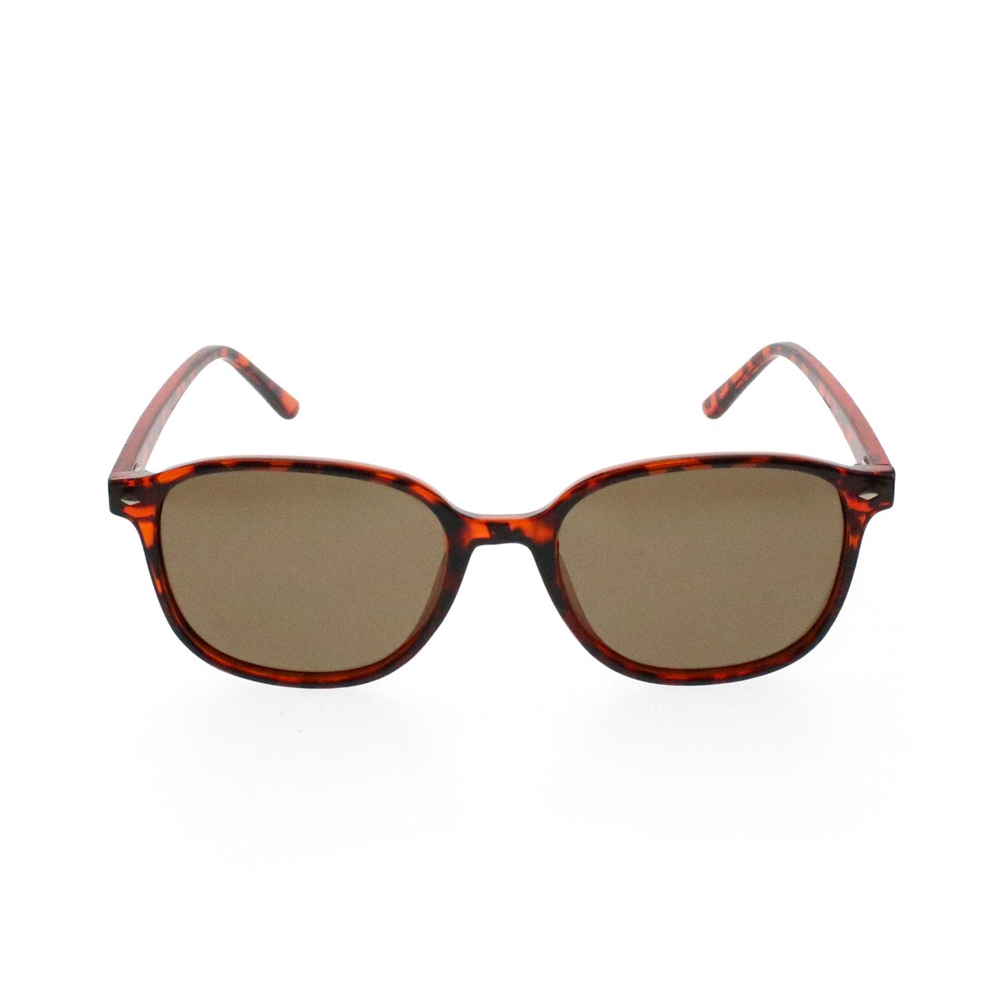 Maywood Polarised Sunglasses - Passport Eyewear