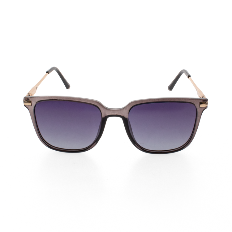 Endwell Polarised Sunglasses