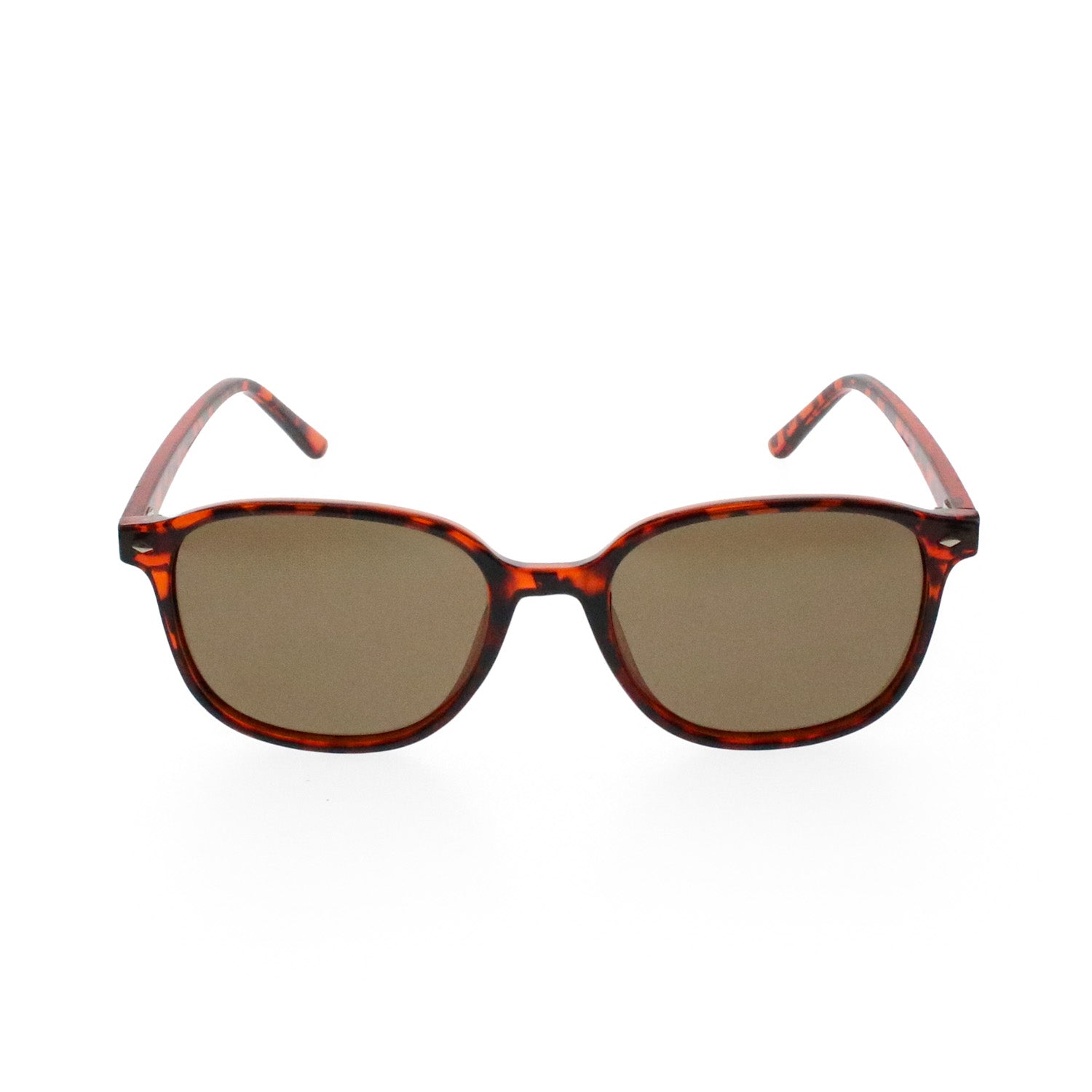 Maywood Polarised Sunglasses - Passport Eyewear
