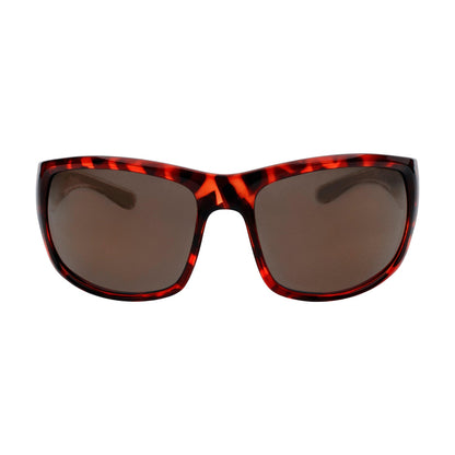 Sterling Polarised Sunglasses - Passport Eyewear